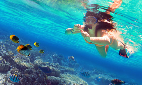 Descubre el mundo Snorkel